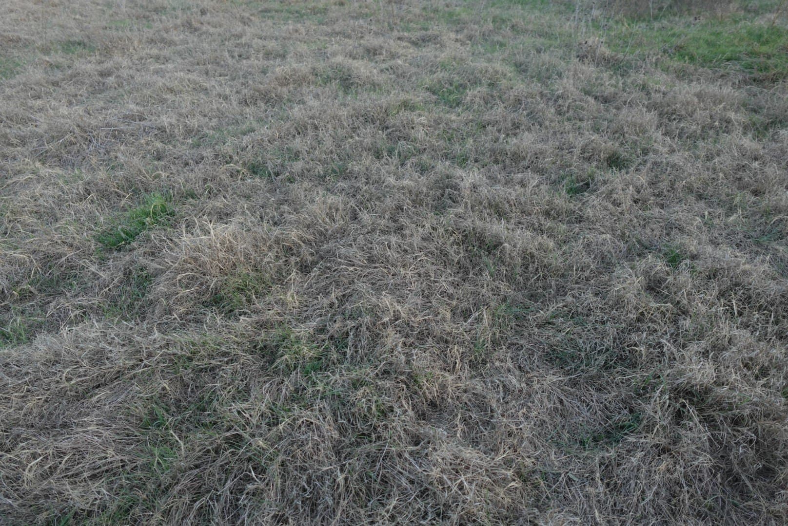 84 acres in Comanche County - photo 24