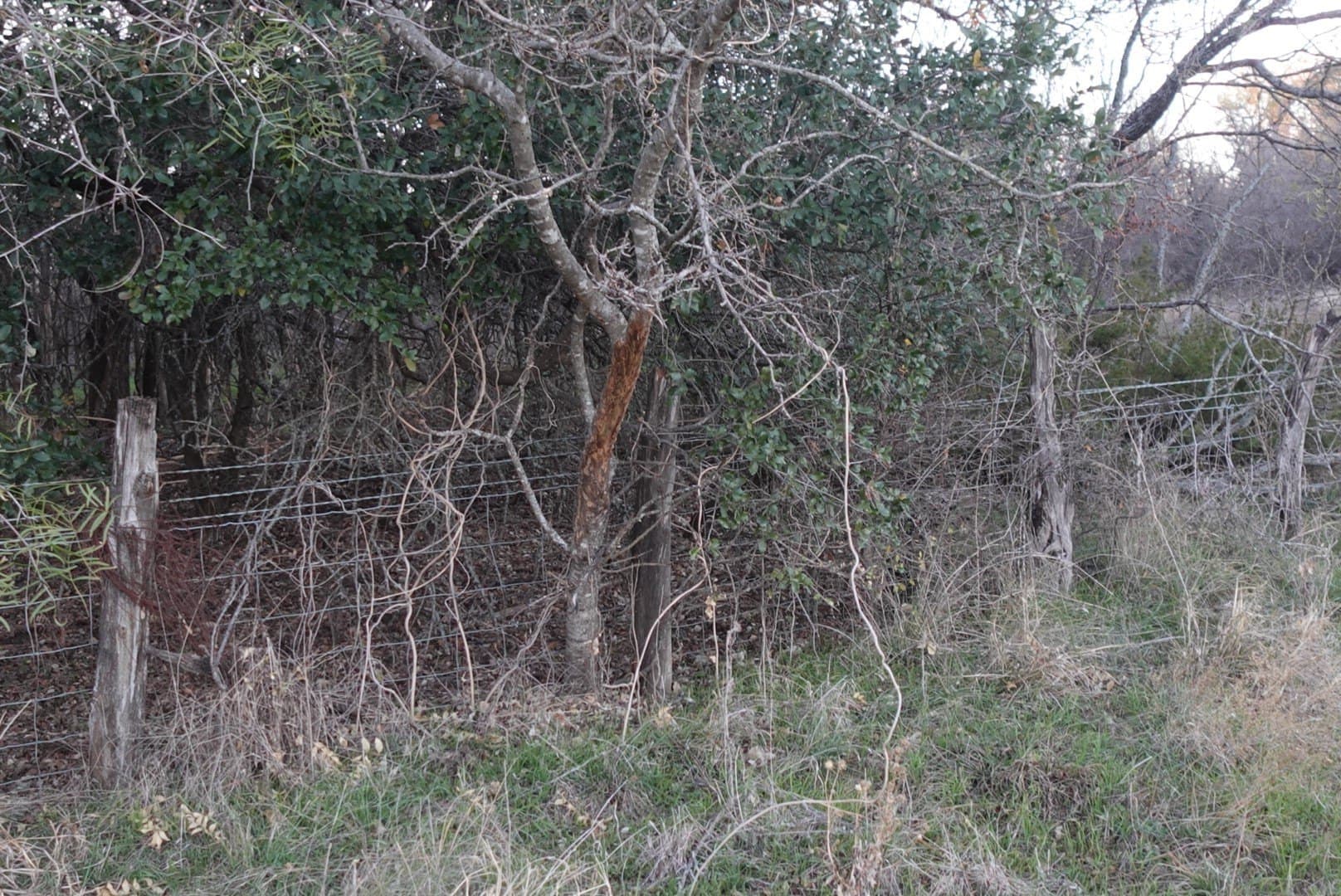 84 acres in Comanche County - photo 27