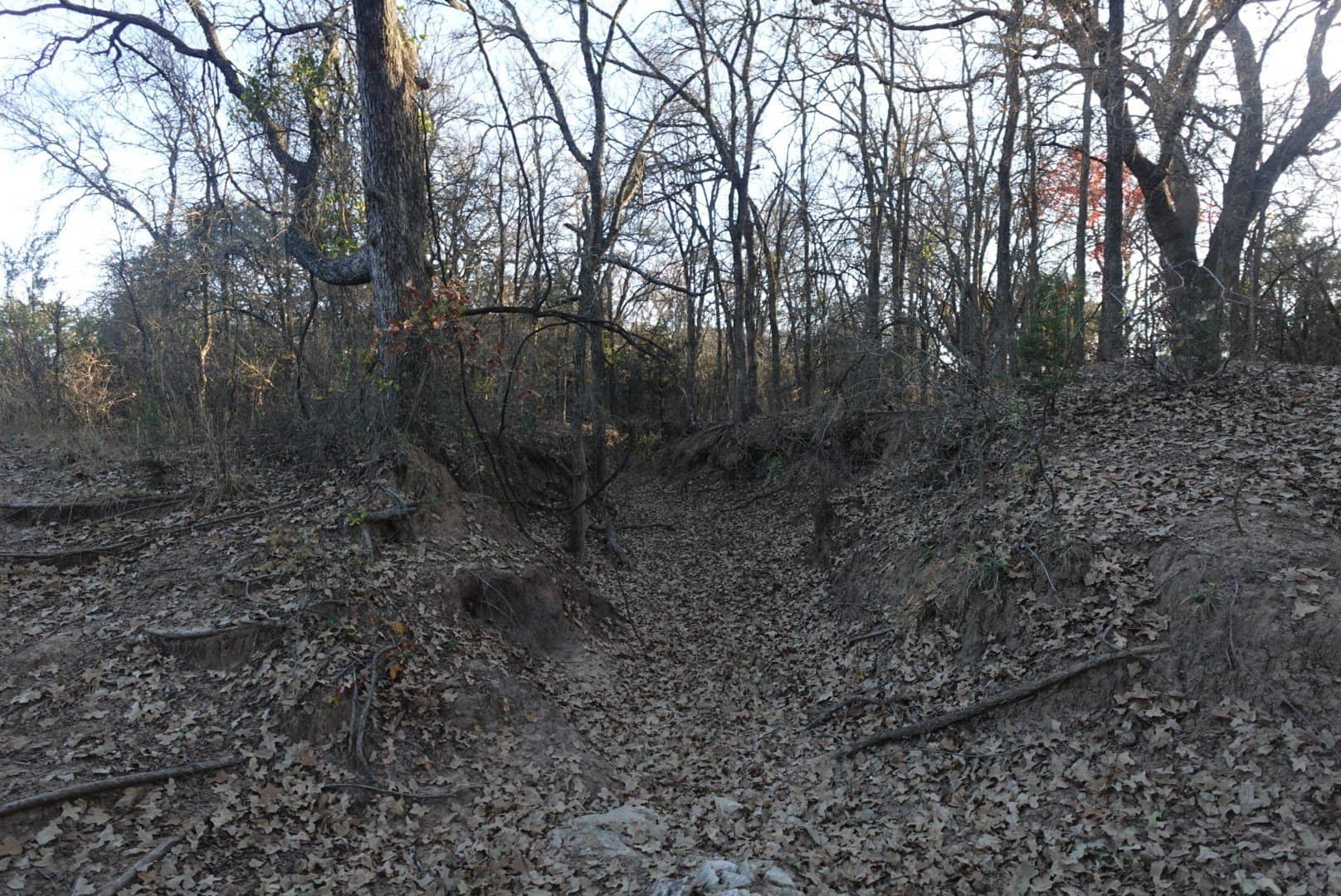 84 acres in Comanche County - photo 15