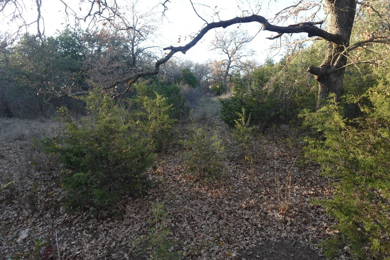 84 acres in Comanche County - photo 13