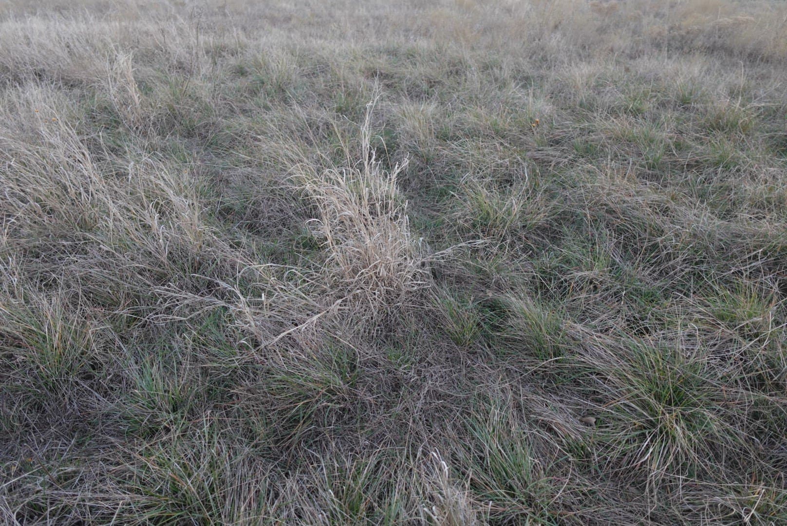 84 acres in Comanche County - photo 26