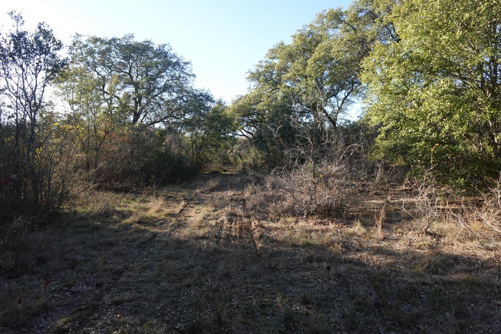 84 acres in Comanche County - photo 12