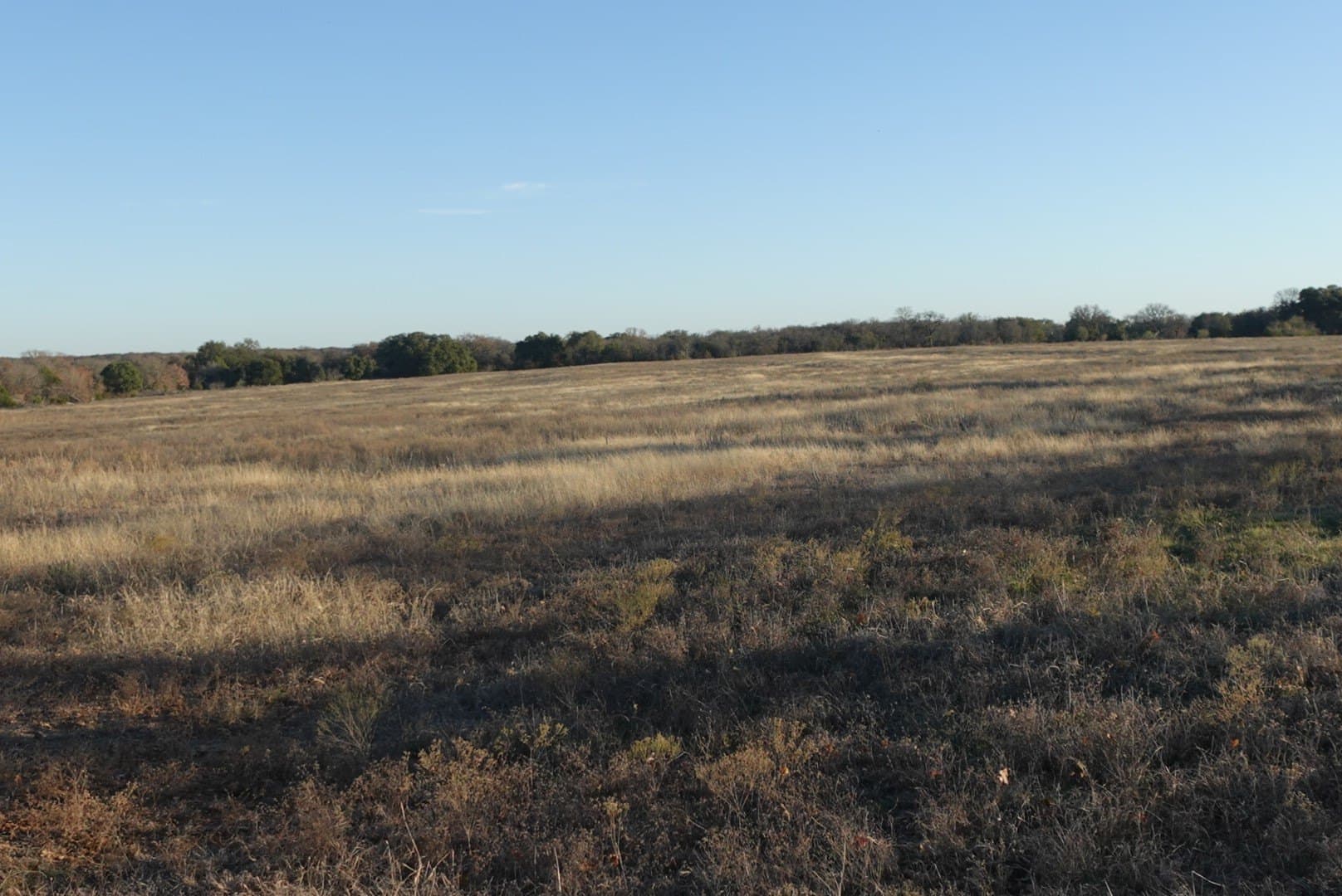 84 acres in Comanche County - photo 19