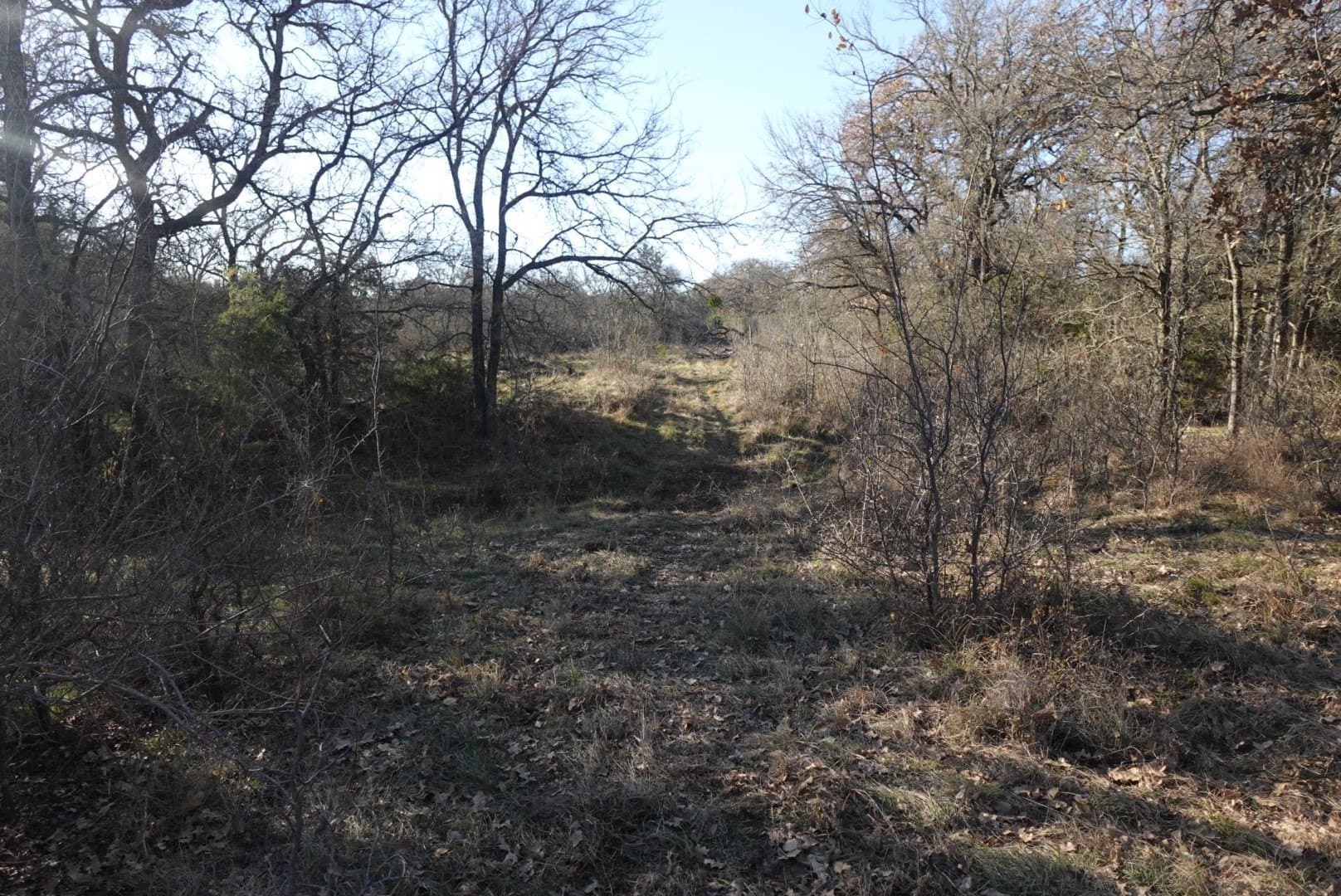 84 acres in Comanche County - photo 9