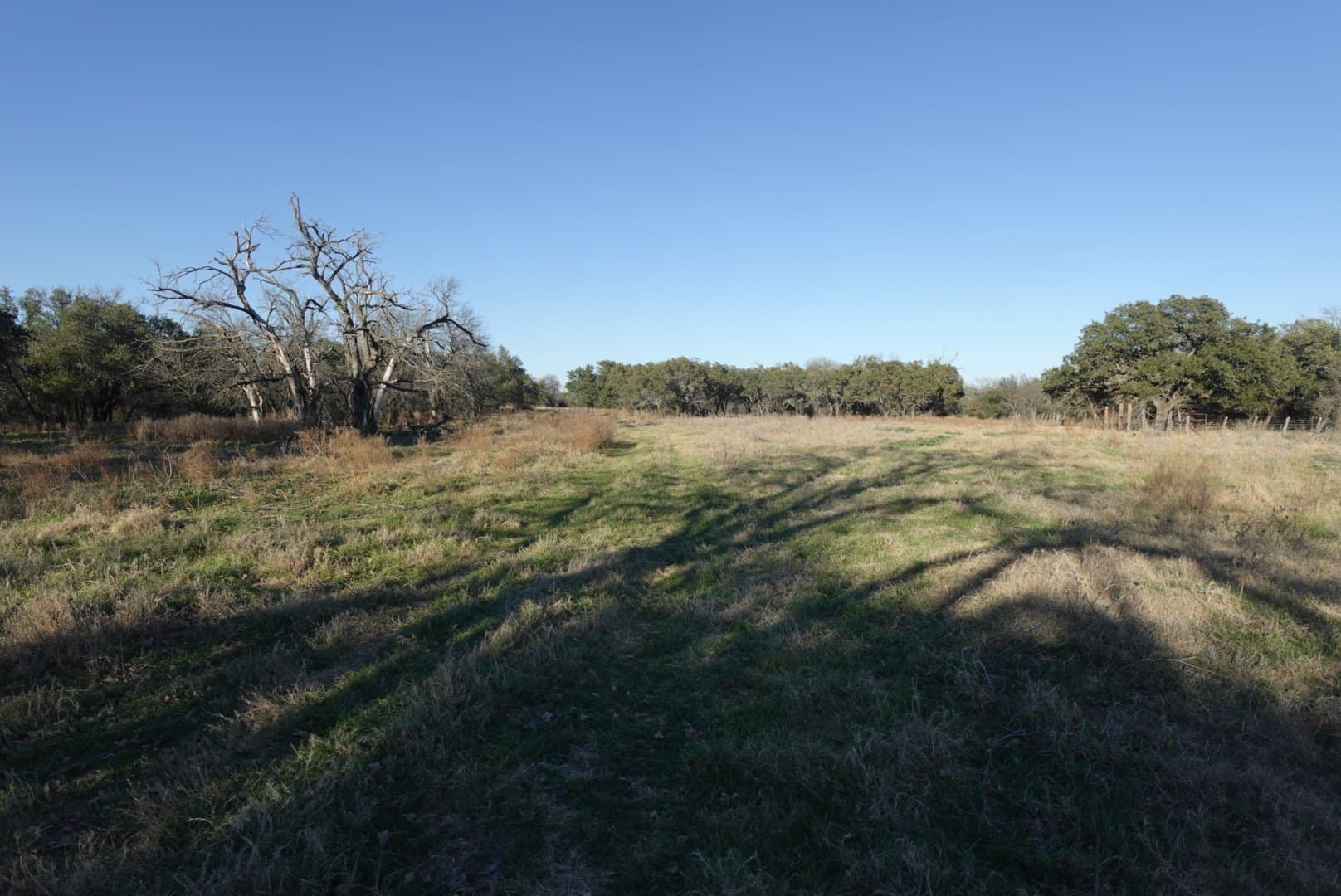 84 acres in Comanche County - photo 5