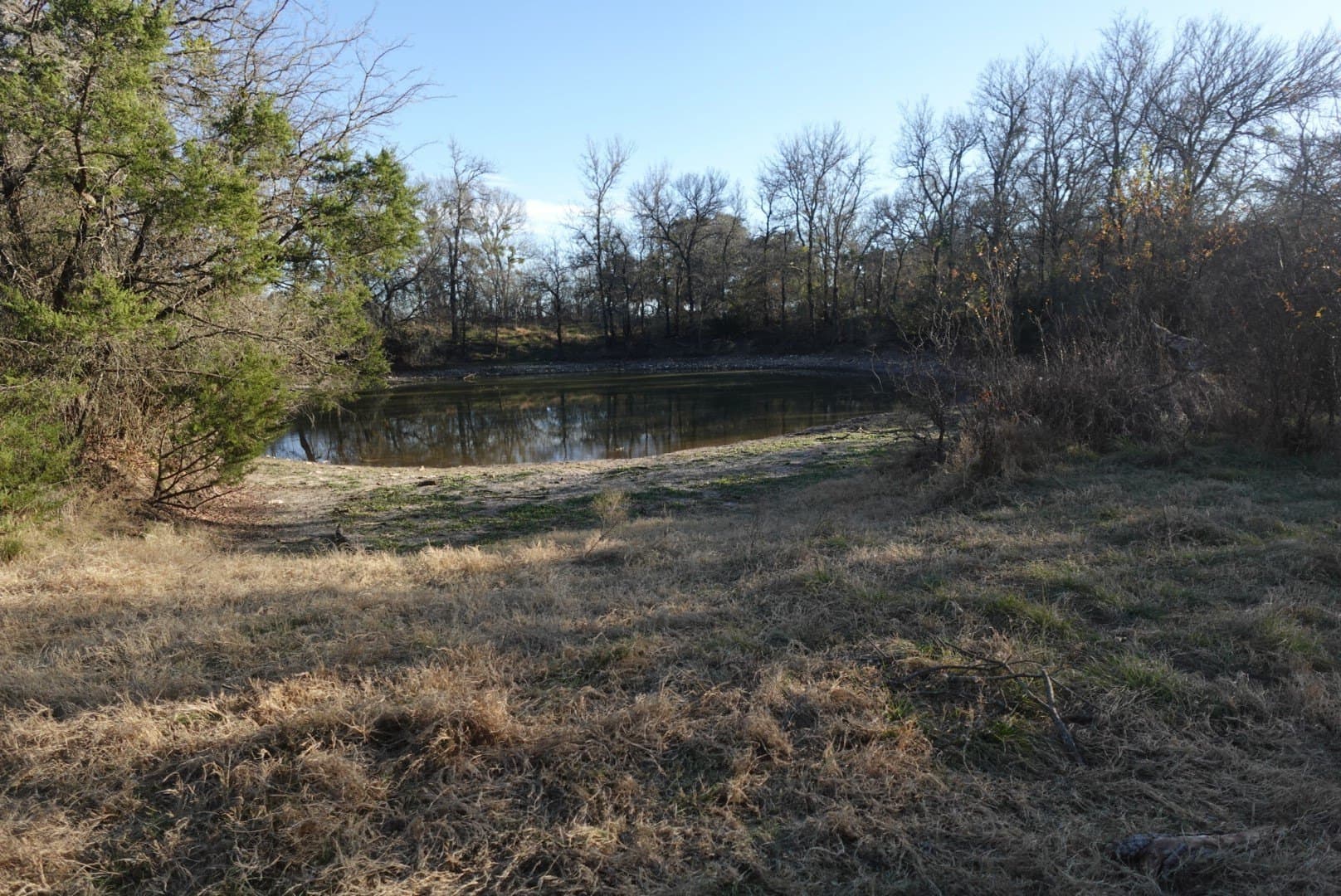 84 acres in Comanche County - photo 8