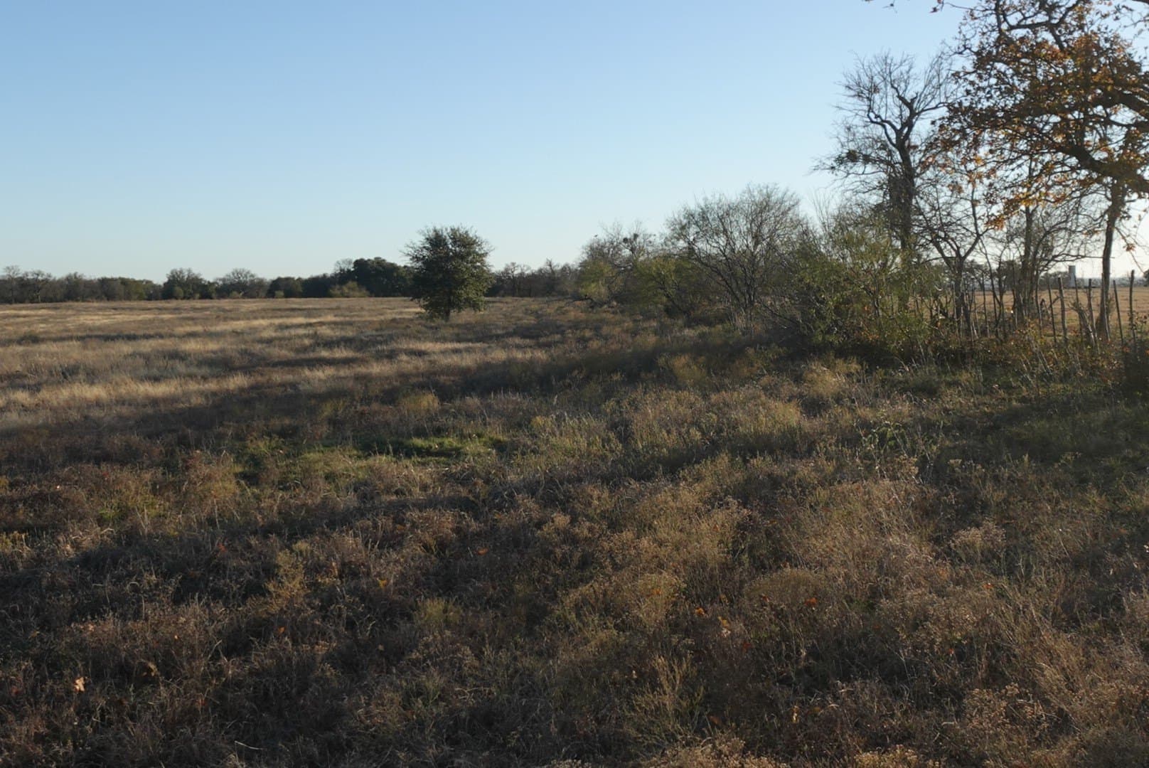 84 acres in Comanche County - photo 18