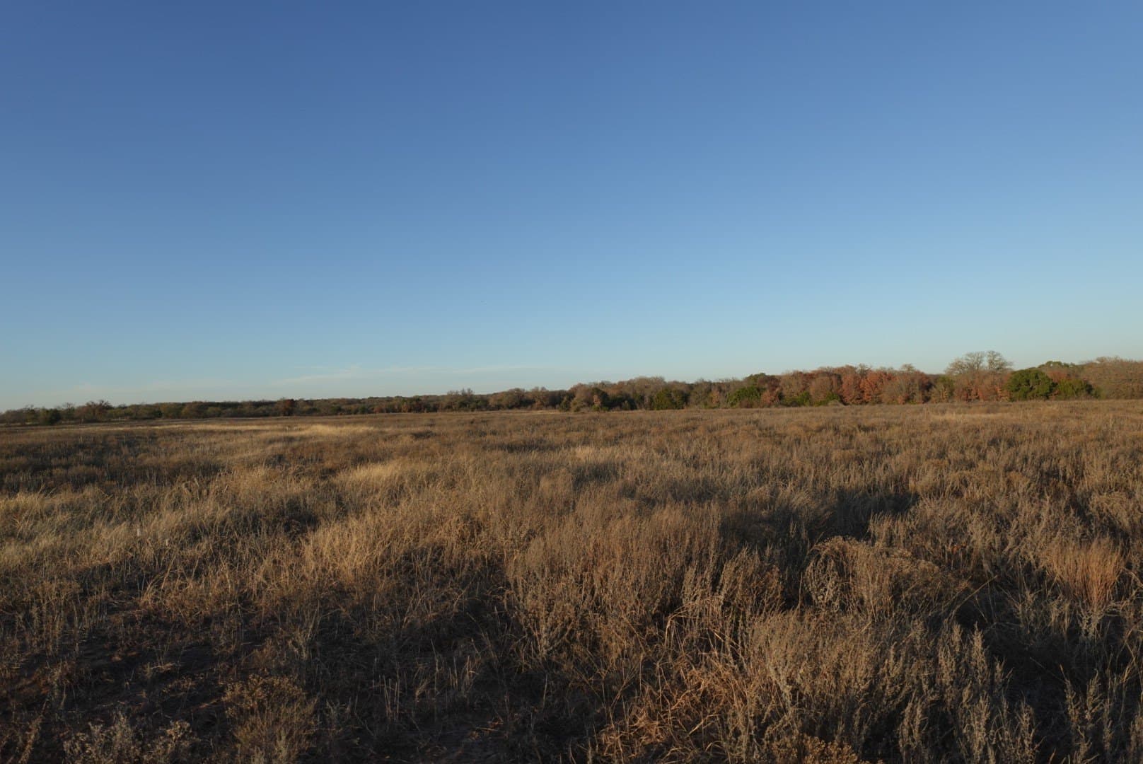 84 acres in Comanche County - photo 21