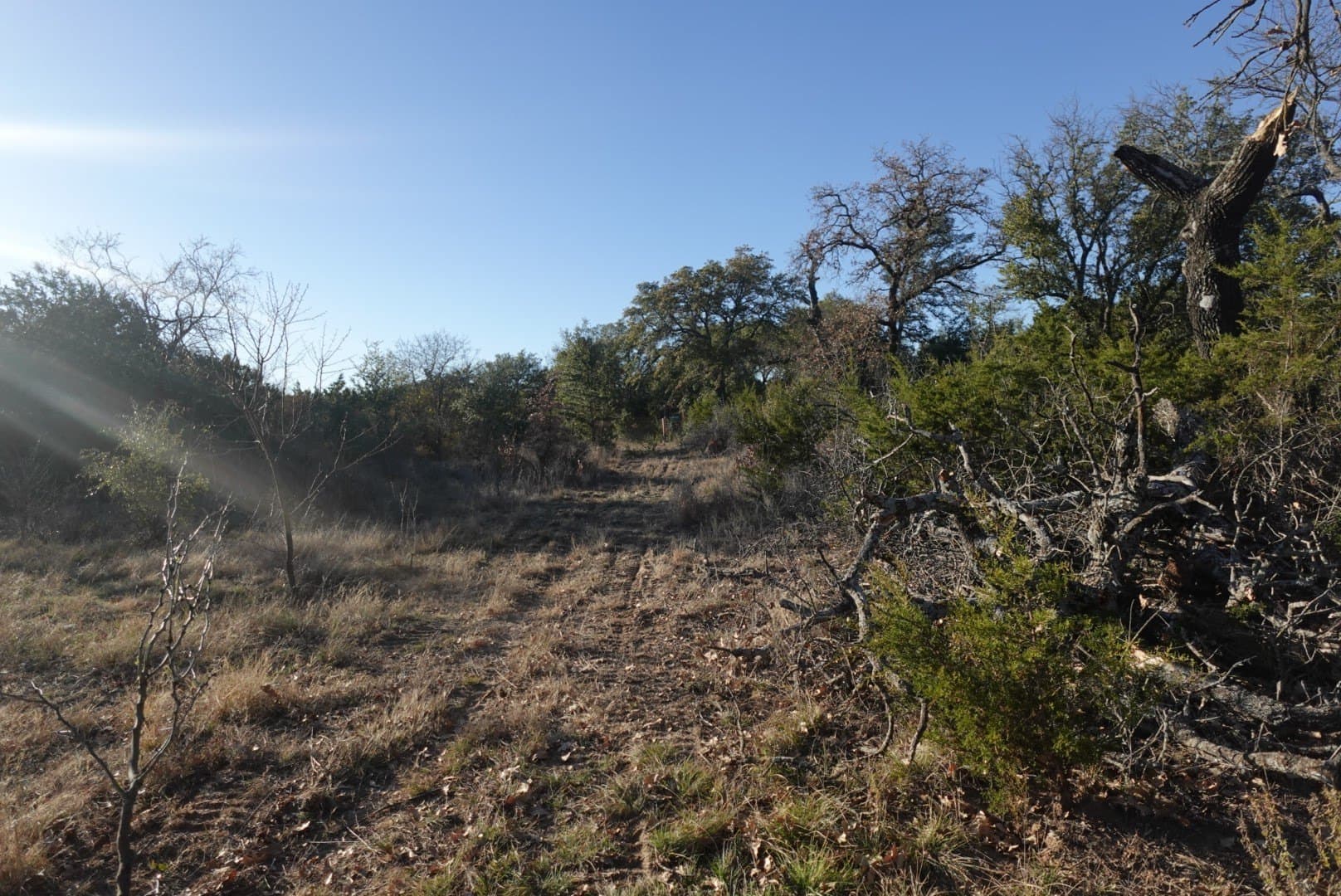 84 acres in Comanche County - photo 10