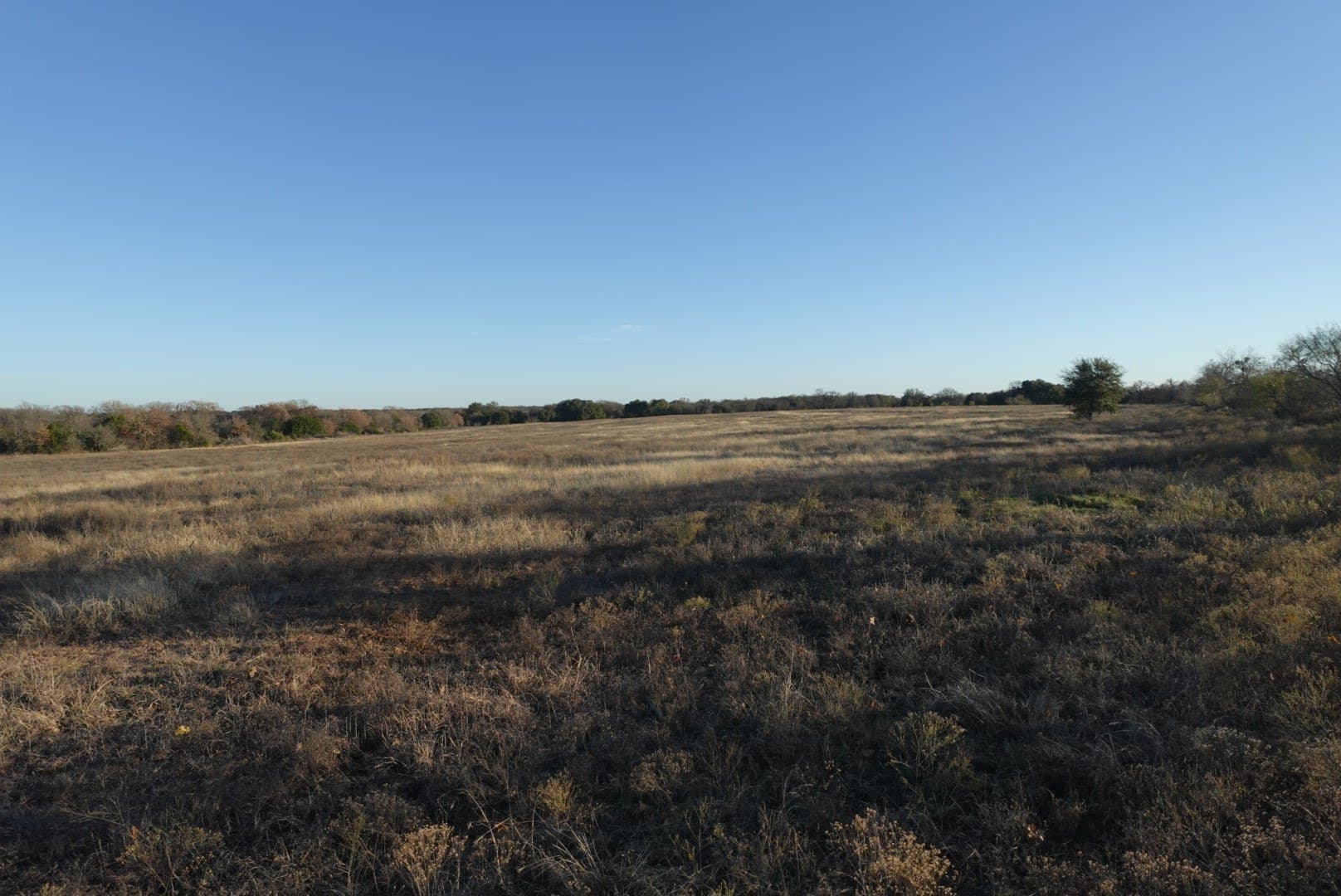 84 acres in Comanche County - photo 17