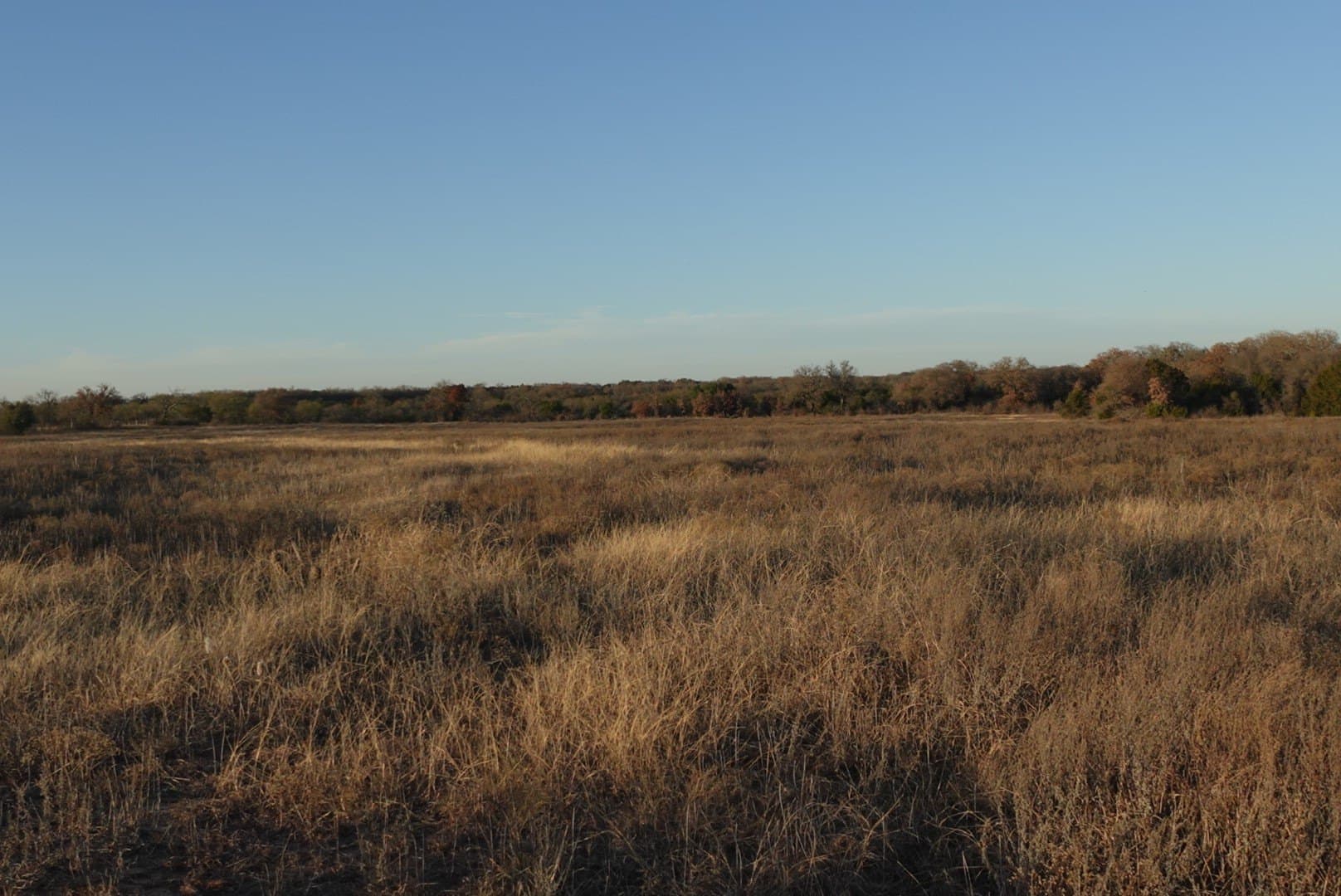 84 acres in Comanche County - photo 22