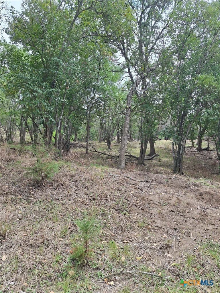 1.96 acres in Comal County - photo 16
