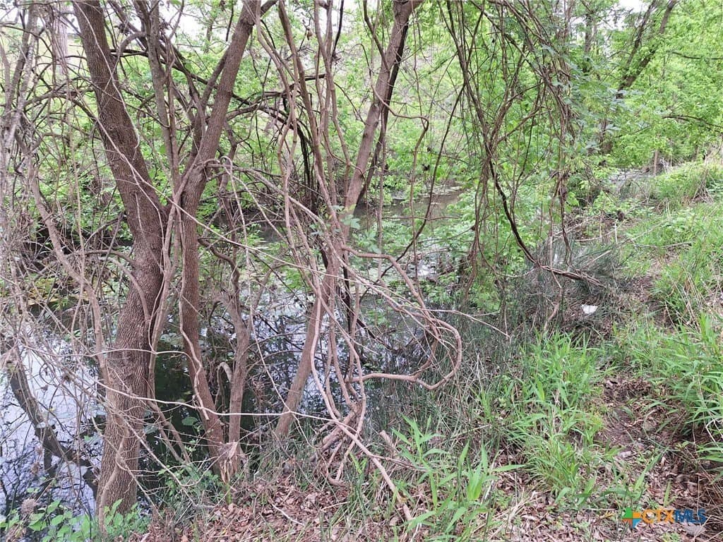 1.96 acres in Comal County - photo 7