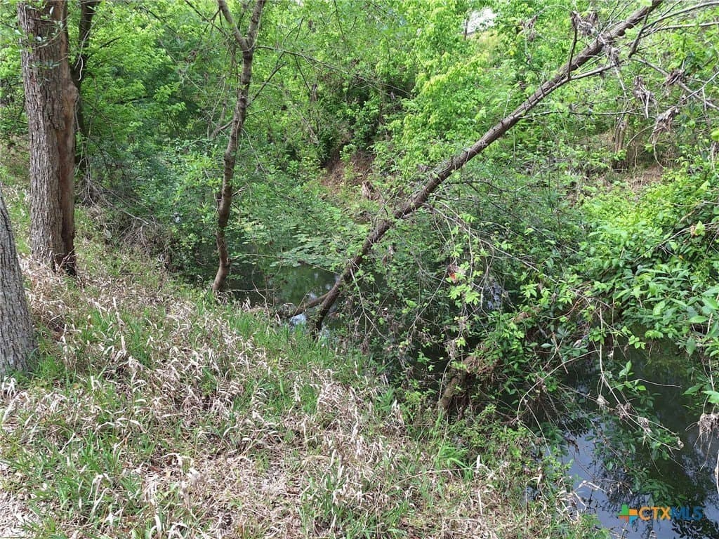 1.96 acres in Comal County - photo 6
