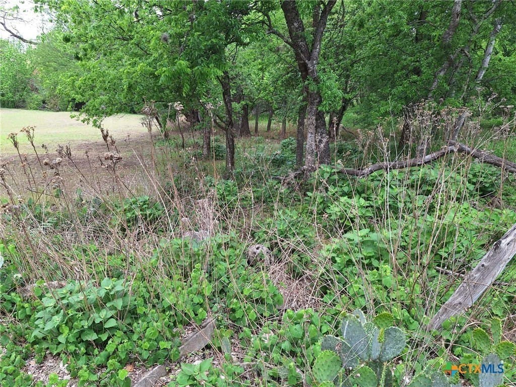 1.96 acres in Comal County - photo 12