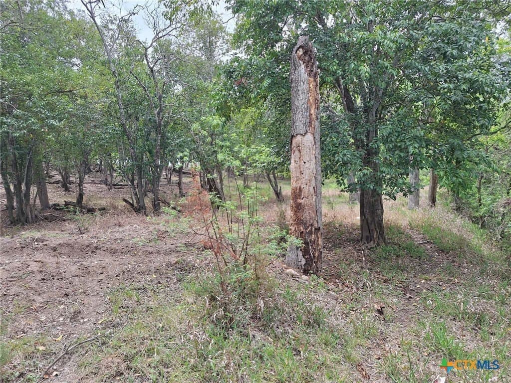 1.96 acres in Comal County - photo 15