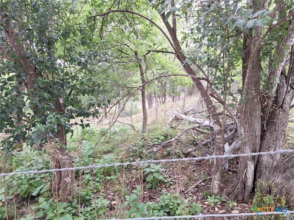 1.96 acres in Comal County - photo 14