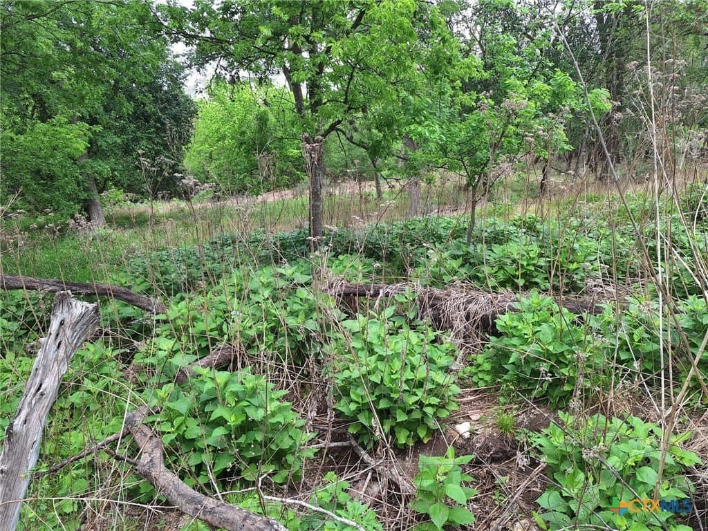 1.96 acres in Comal County - photo 10