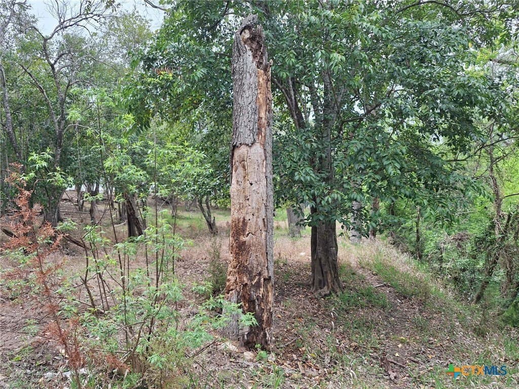 1.96 acres in Comal County - photo 13