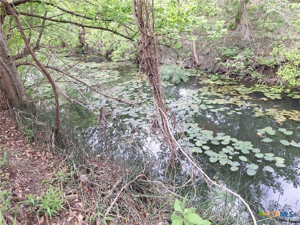 1.96 acres in Comal County gallery image 3