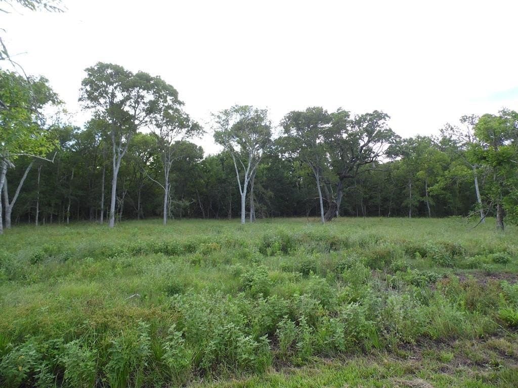 2.45 acres in Cedar Lane County - photo 5