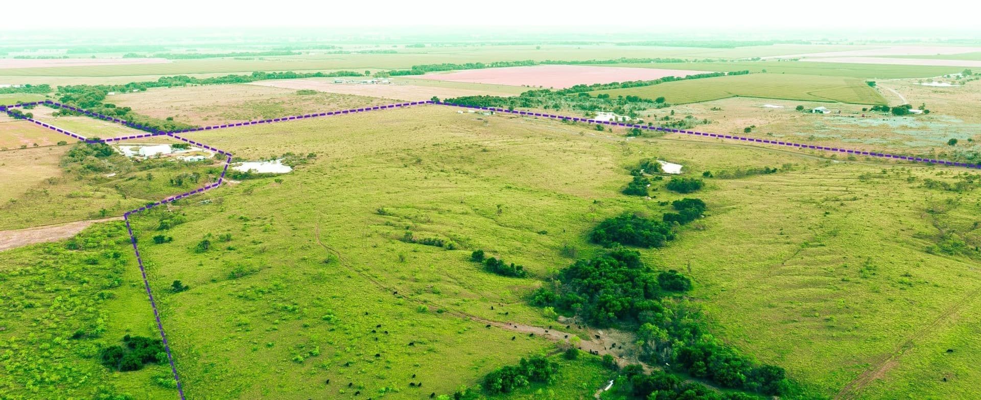 106.4 acres in Ellis County - photo 5