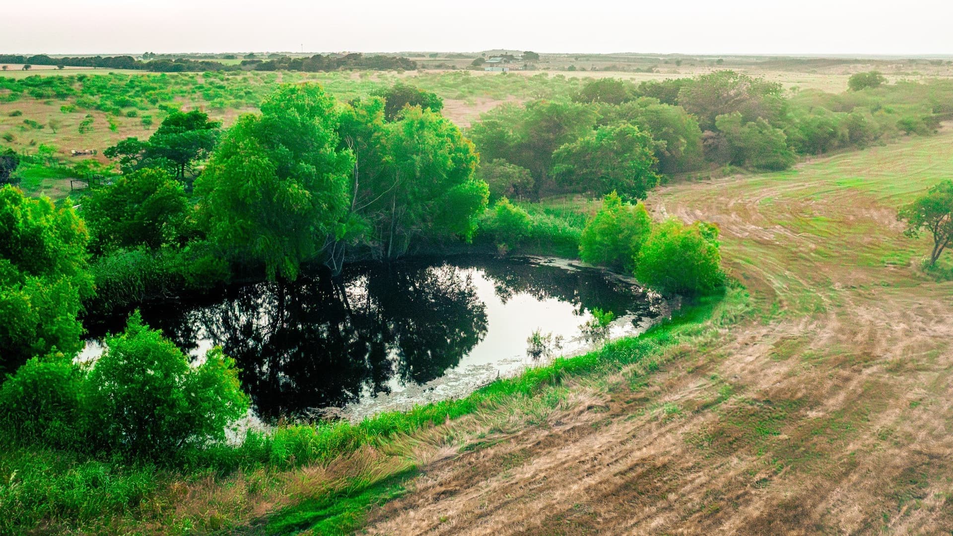 106.4 acres in Ellis County - photo 3