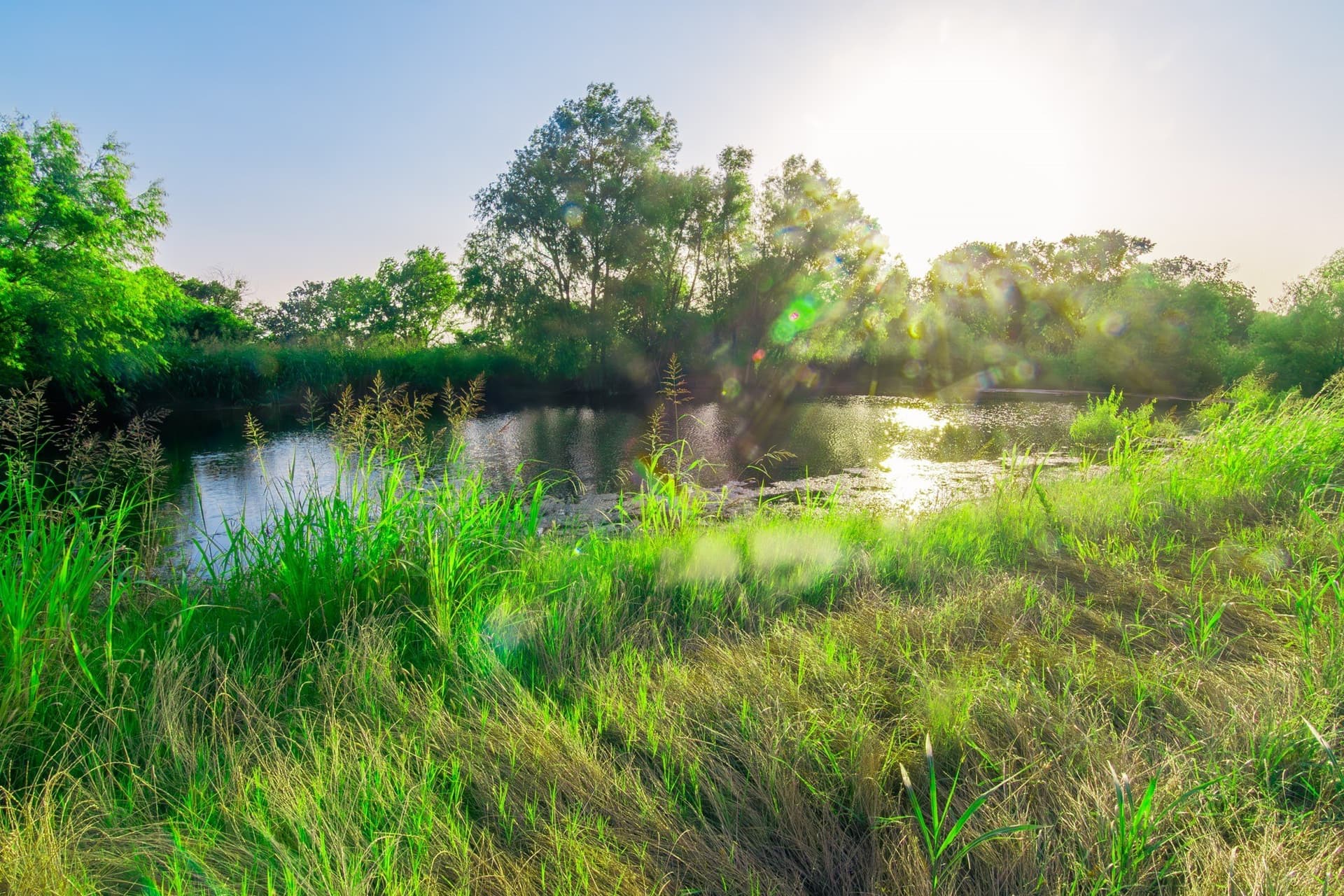106.4 acres in Ellis County