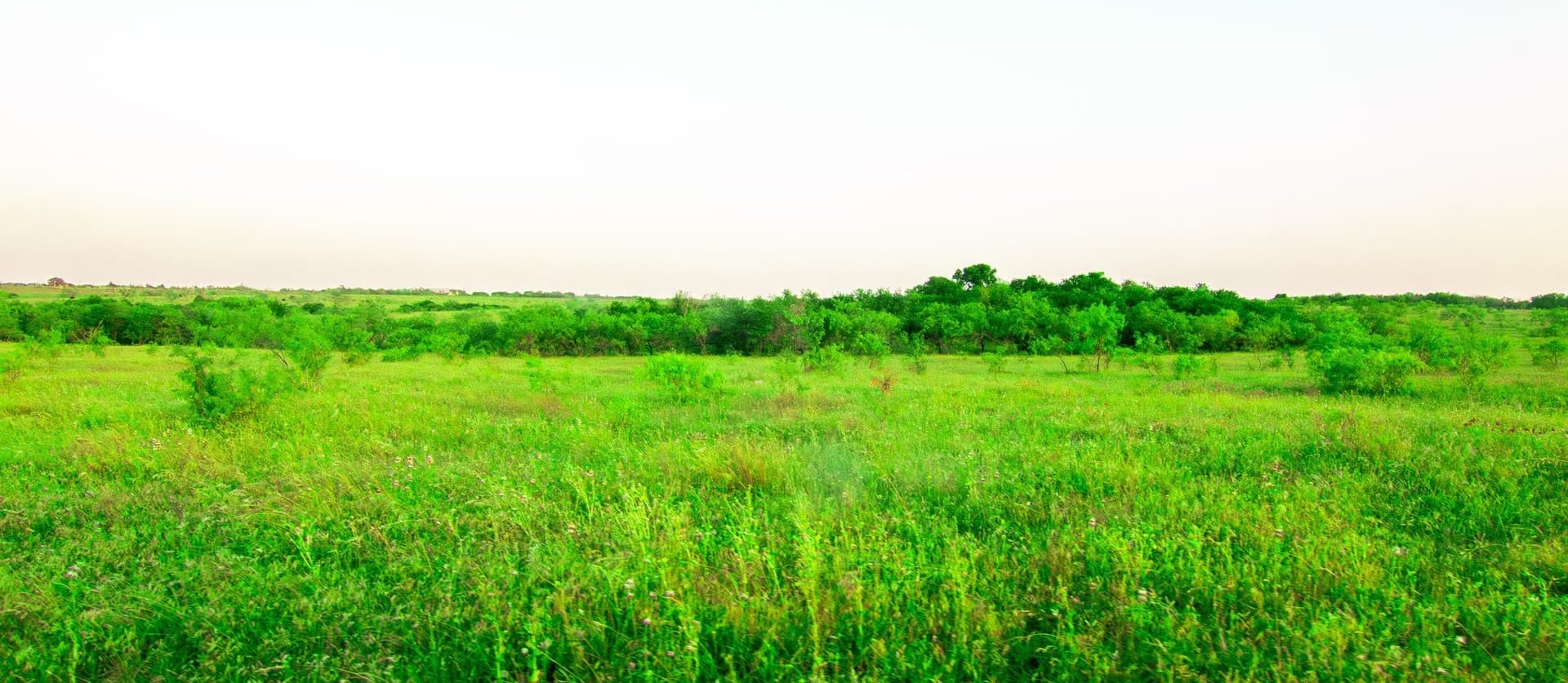 106.4 acres in Ellis County - photo 2