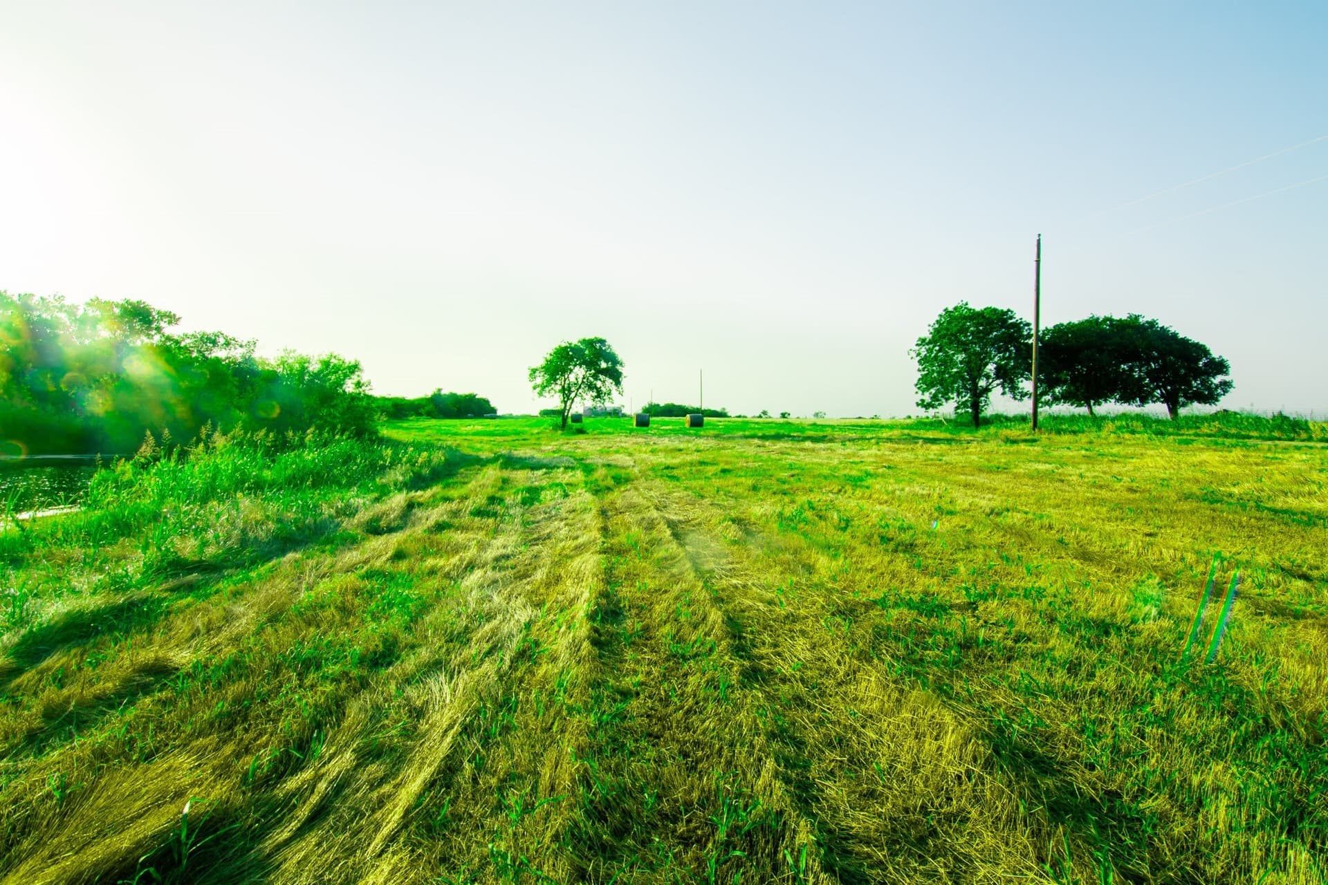 106.4 acres in Ellis County - photo 4