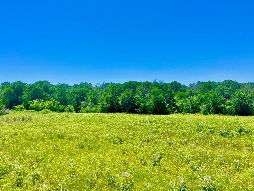 2.22 acres in Parker County gallery image 2