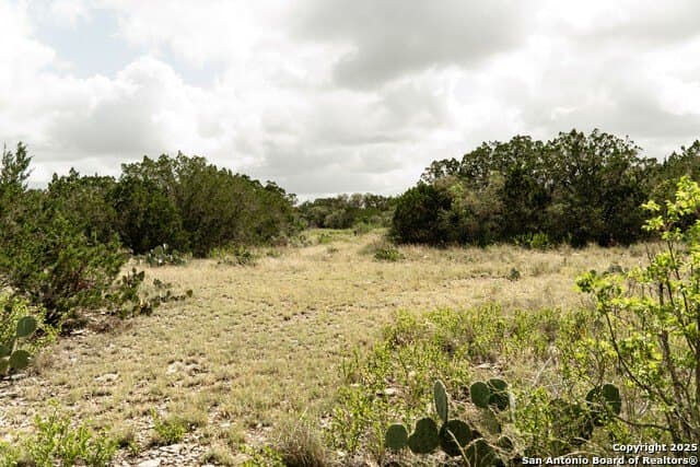 30.82 acres in Kinney County featured view