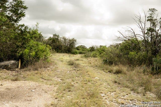 30.82 acres in Kinney County gallery image 2