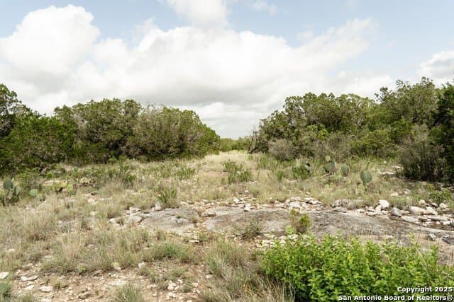 30.82 acres in Kinney County gallery image 4