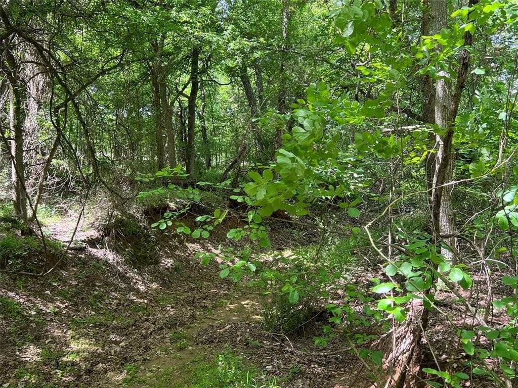 19.48 acres in Johnson County gallery image 4