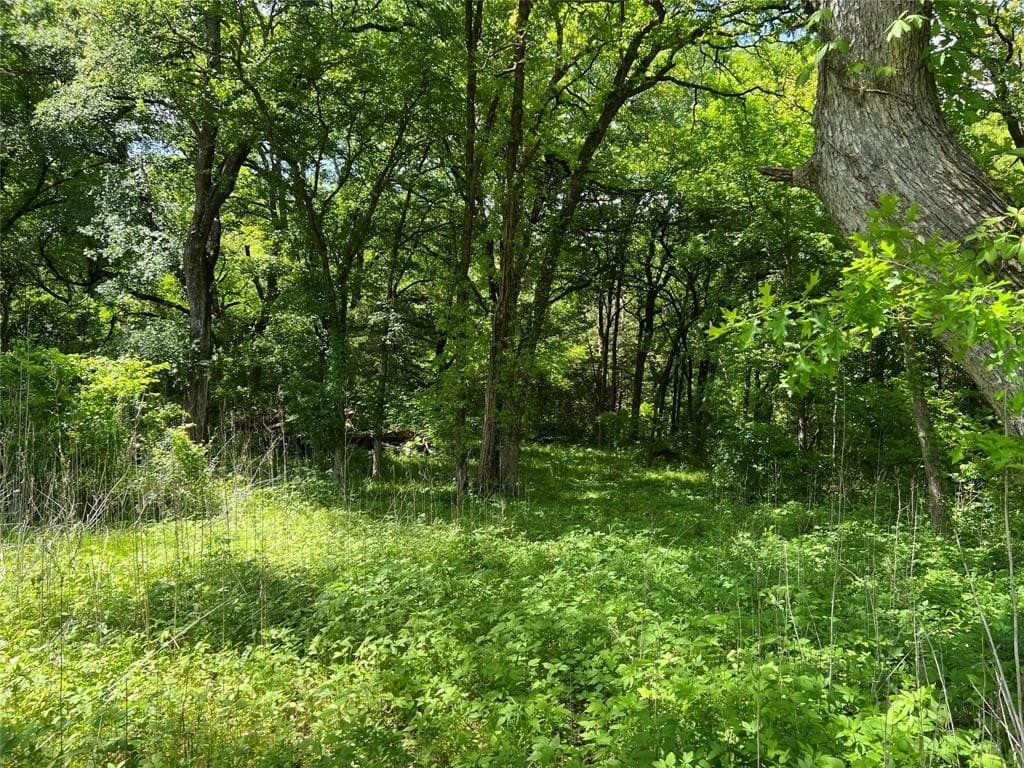 19.48 acres in Johnson County featured view