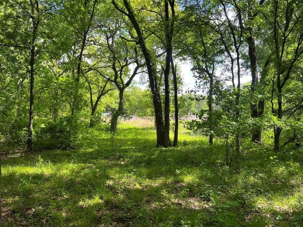 19.48 acres in Johnson County gallery image 3