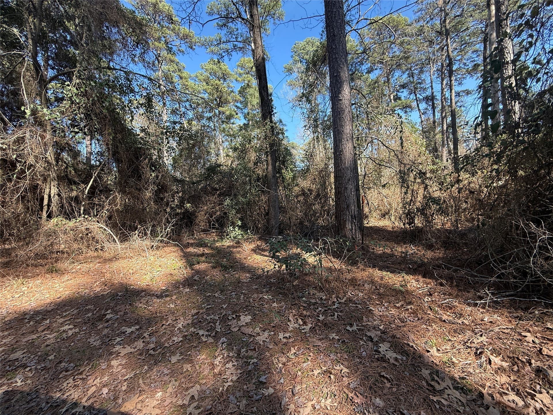 0.78 acres in Wood County