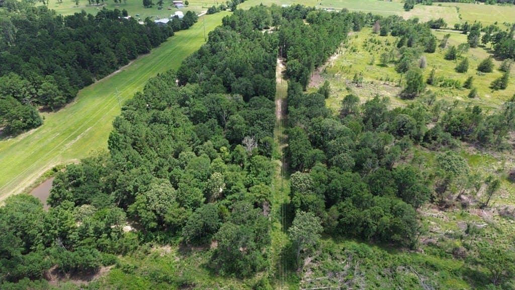 80.08 acres in Texas County gallery image 4