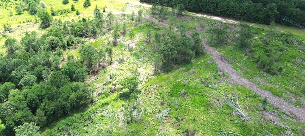80.08 acres in Texas County featured view