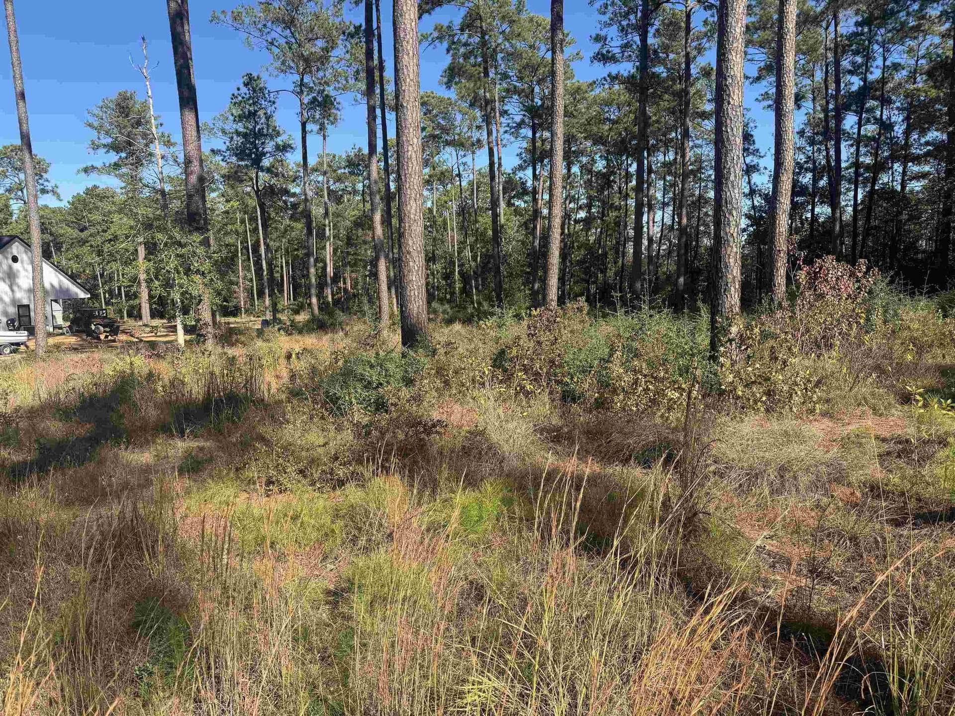 1.09 acres in Texas County