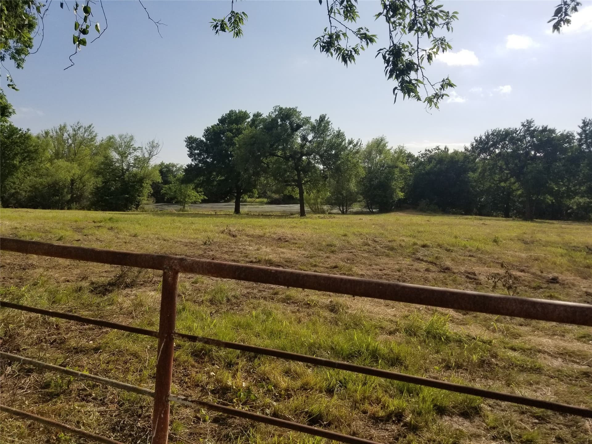 14.8 acres in Collin County gallery image 4