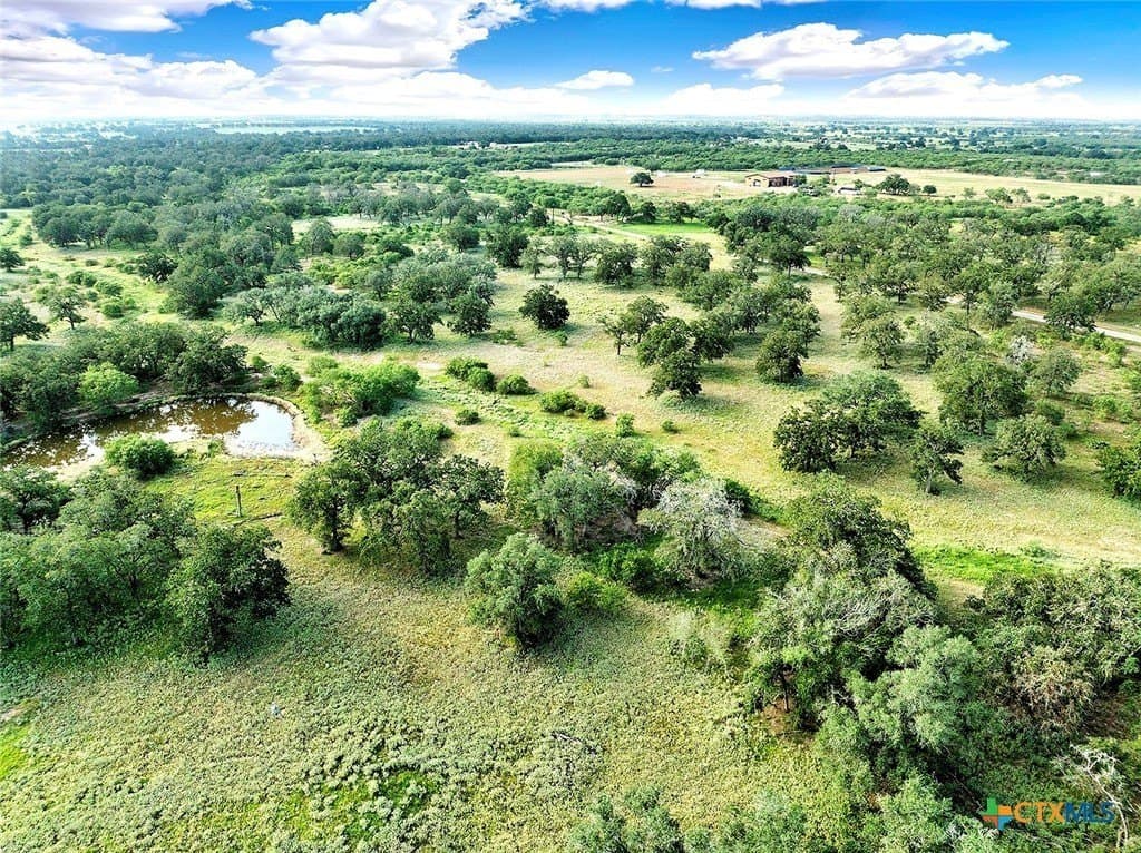 77.59 acres in Wilson County gallery image 4