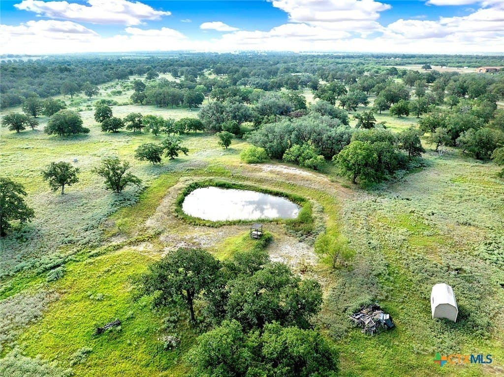 77.59 acres in Wilson County gallery image 2