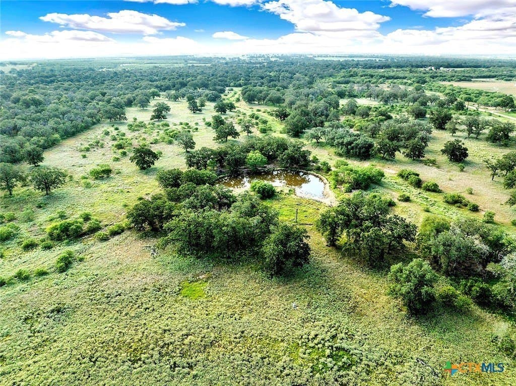 77.59 acres in Wilson County gallery image 3