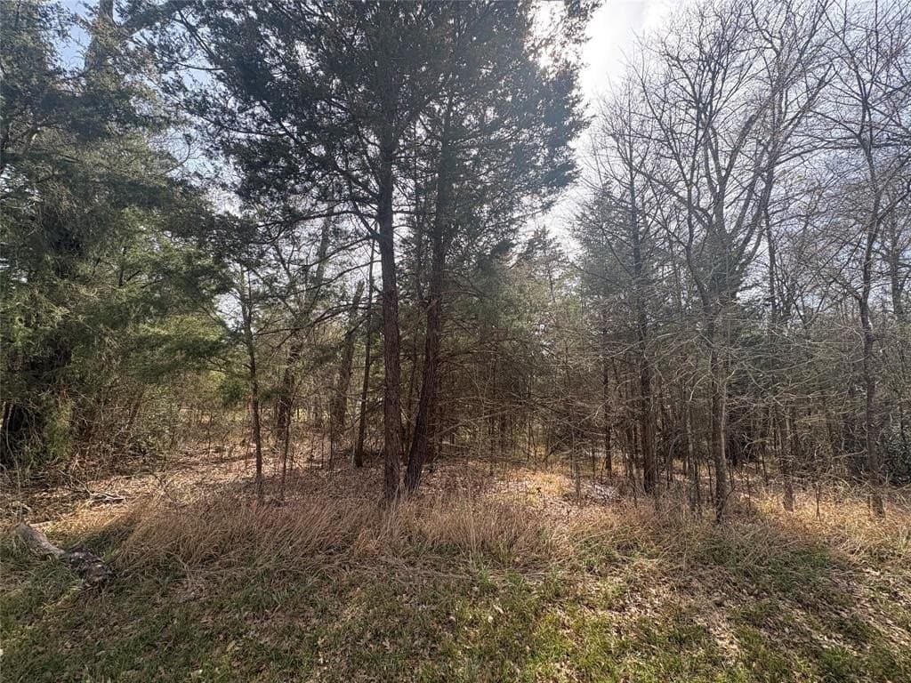 0.11 acres in Henderson County gallery image 2