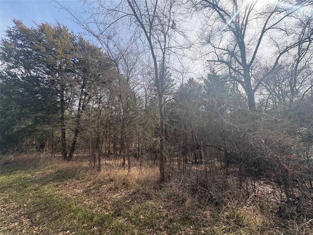 0.11 acres in Henderson County gallery image 3