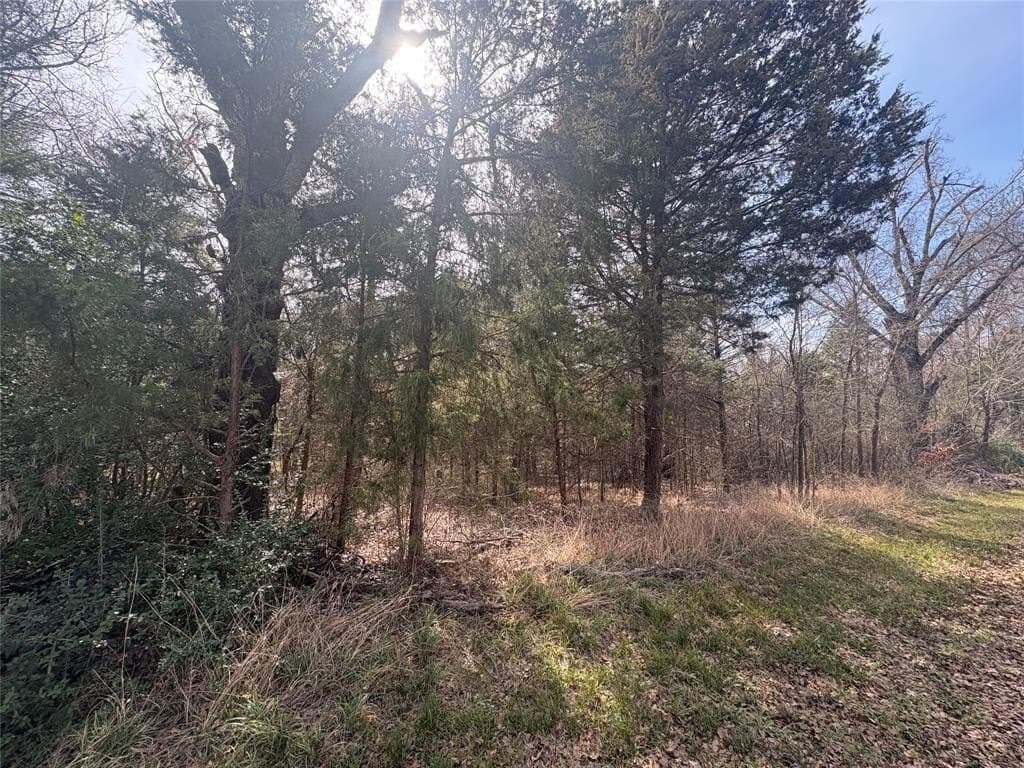 0.11 acres in Henderson County gallery image 4