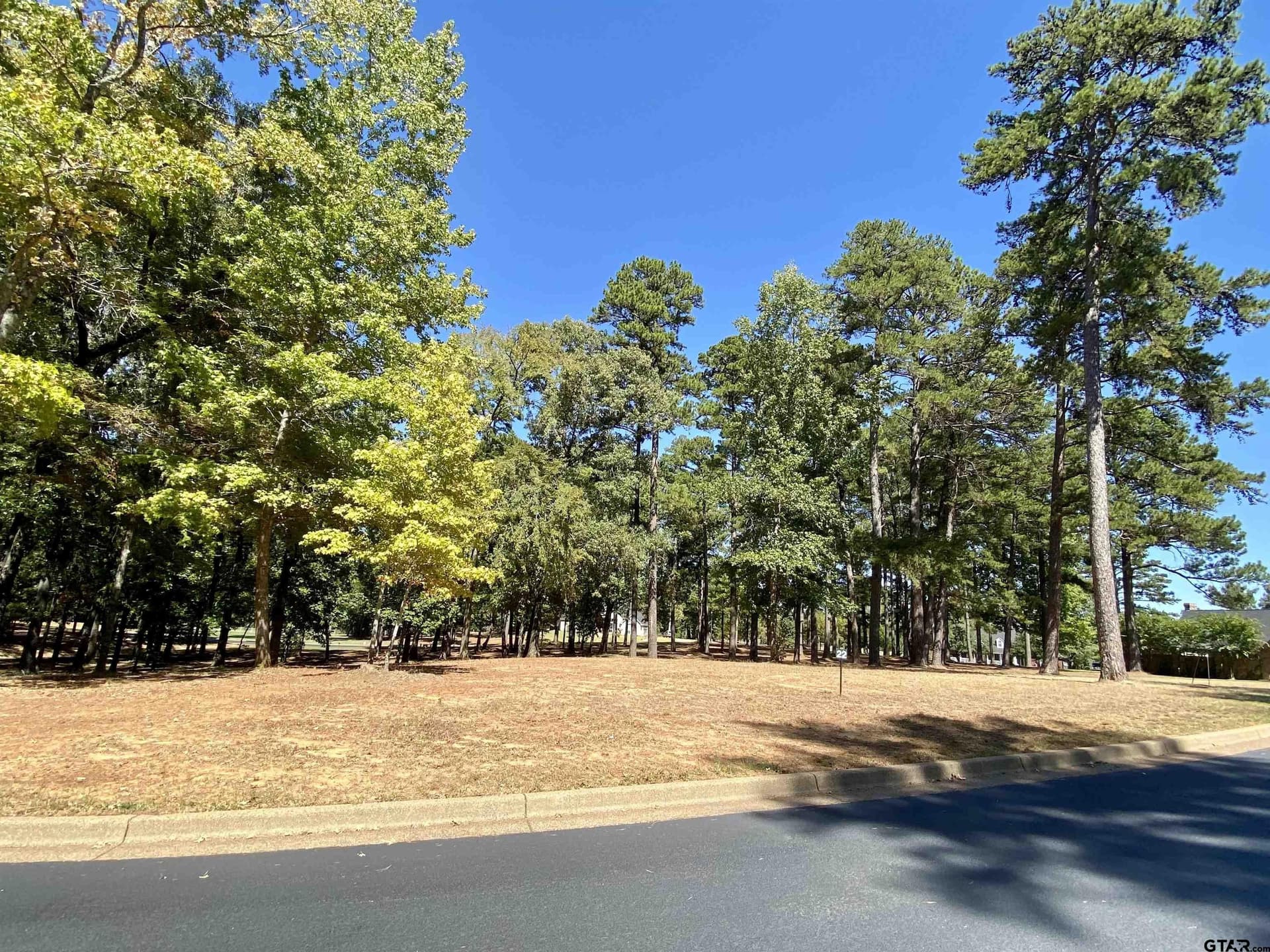 0.44 acres in Anderson County gallery image 3