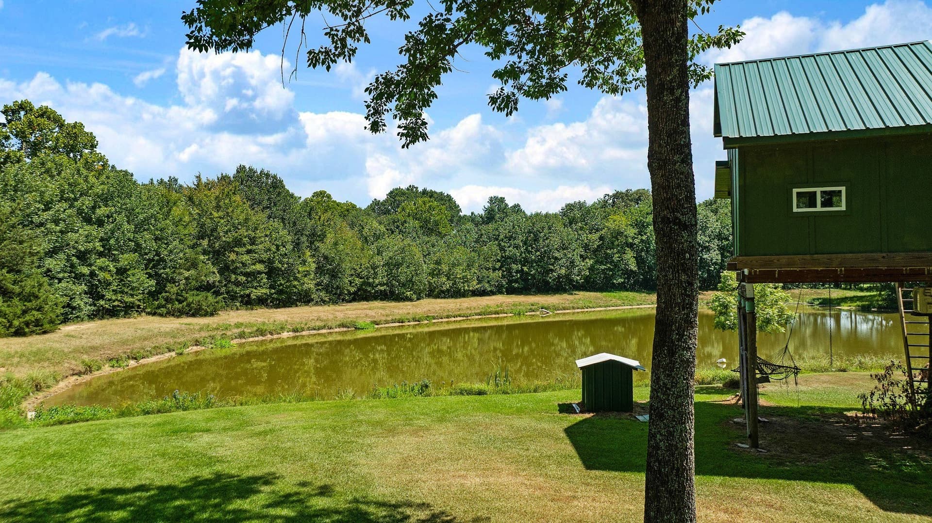 46.54 acres in Lamar County - photo 10